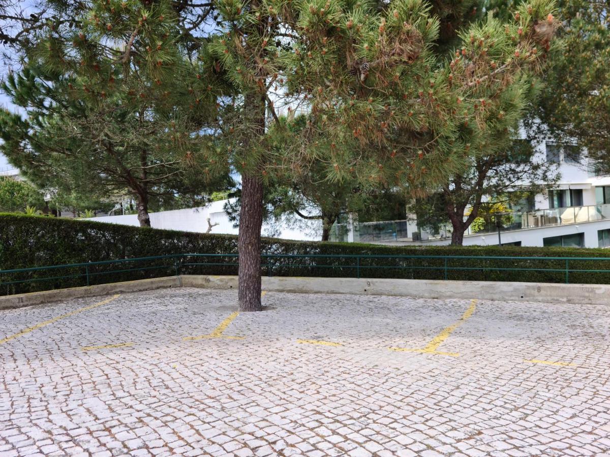 Apartament Soltroia - Casa Do Pinheiro Zewnętrze zdjęcie