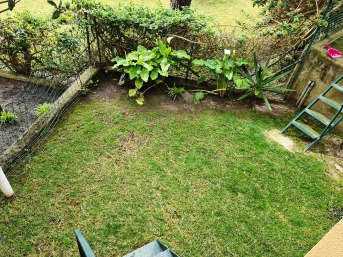 Apartament Soltroia - Casa Do Pinheiro Zewnętrze zdjęcie